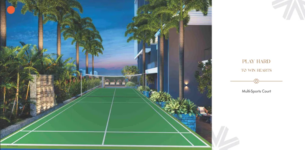 sports court