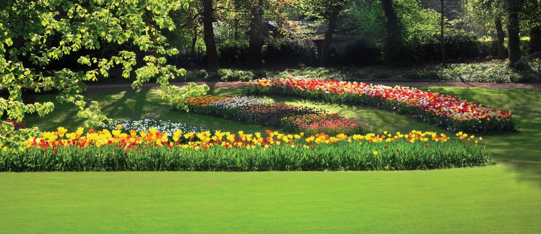 landscape garden
