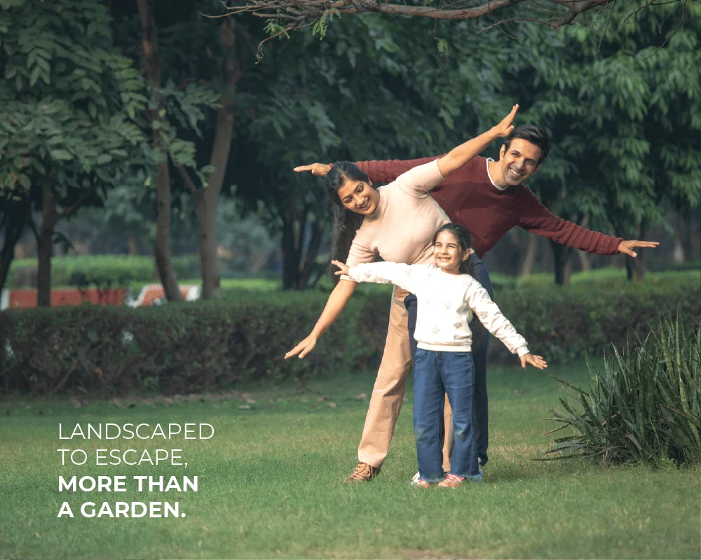 landscape garden