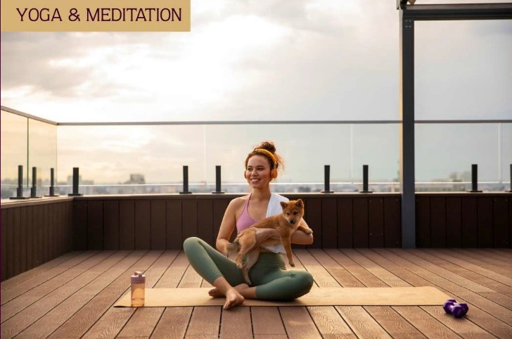pillars nirvana project amenities 3 pillars nirvana project amenities 3