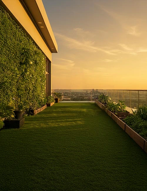 top roof