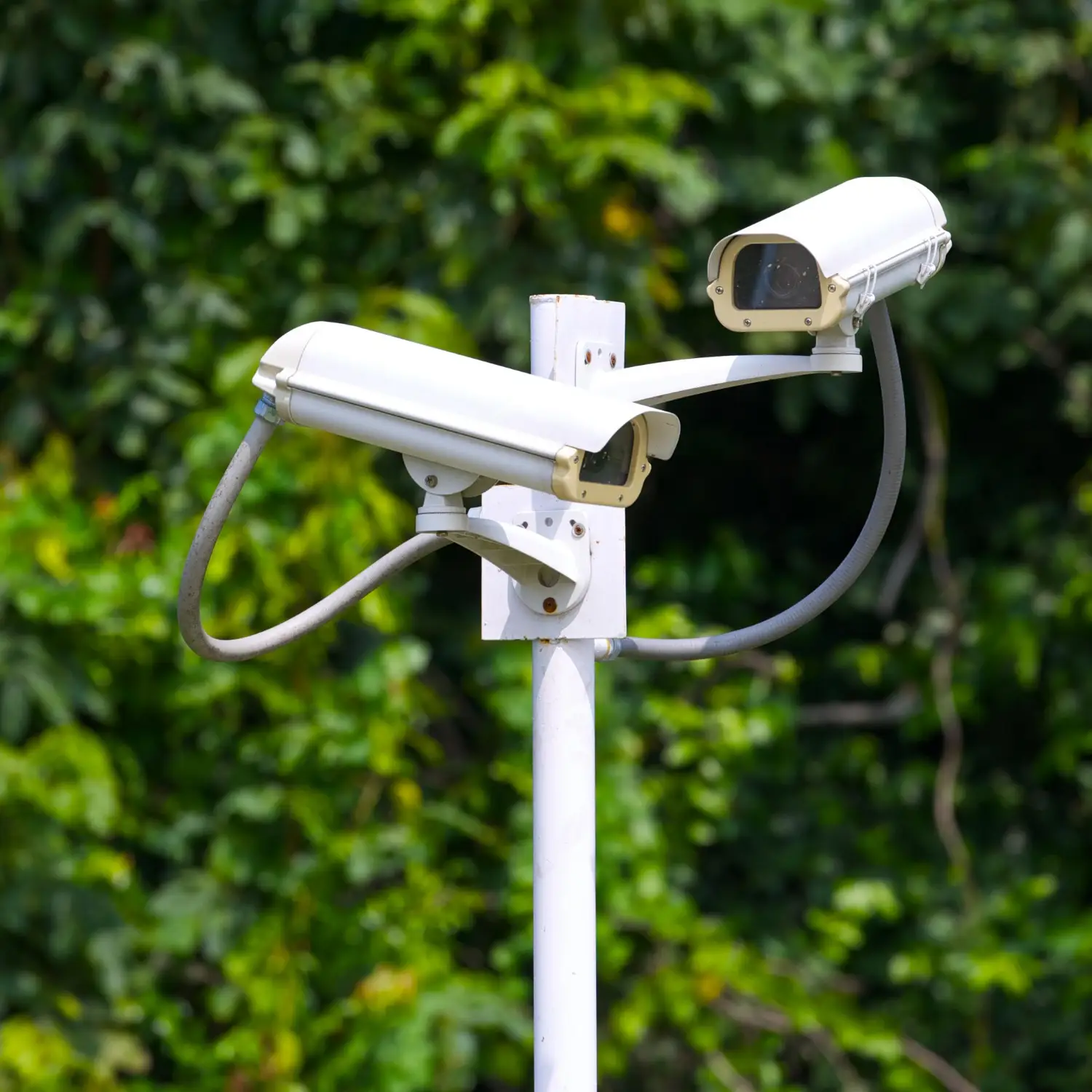    CCTV