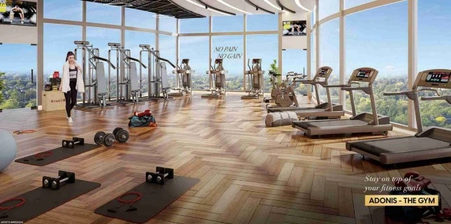 gym