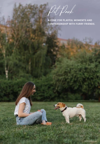 pet park