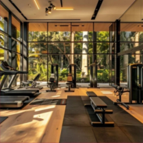 gym gym